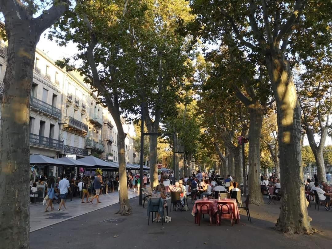 Beau studio refait a neuf centre ville avec clim balcon Narbonne Extérieur photo